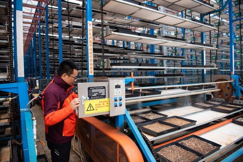 保姆式服務(wù)+智能化工廠+連片化土地——工業(yè)工程設(shè)計服務(wù)賦能湖南水稻大省春耕新圖景